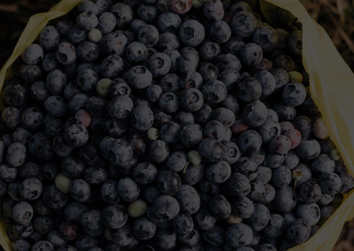 Blueberries