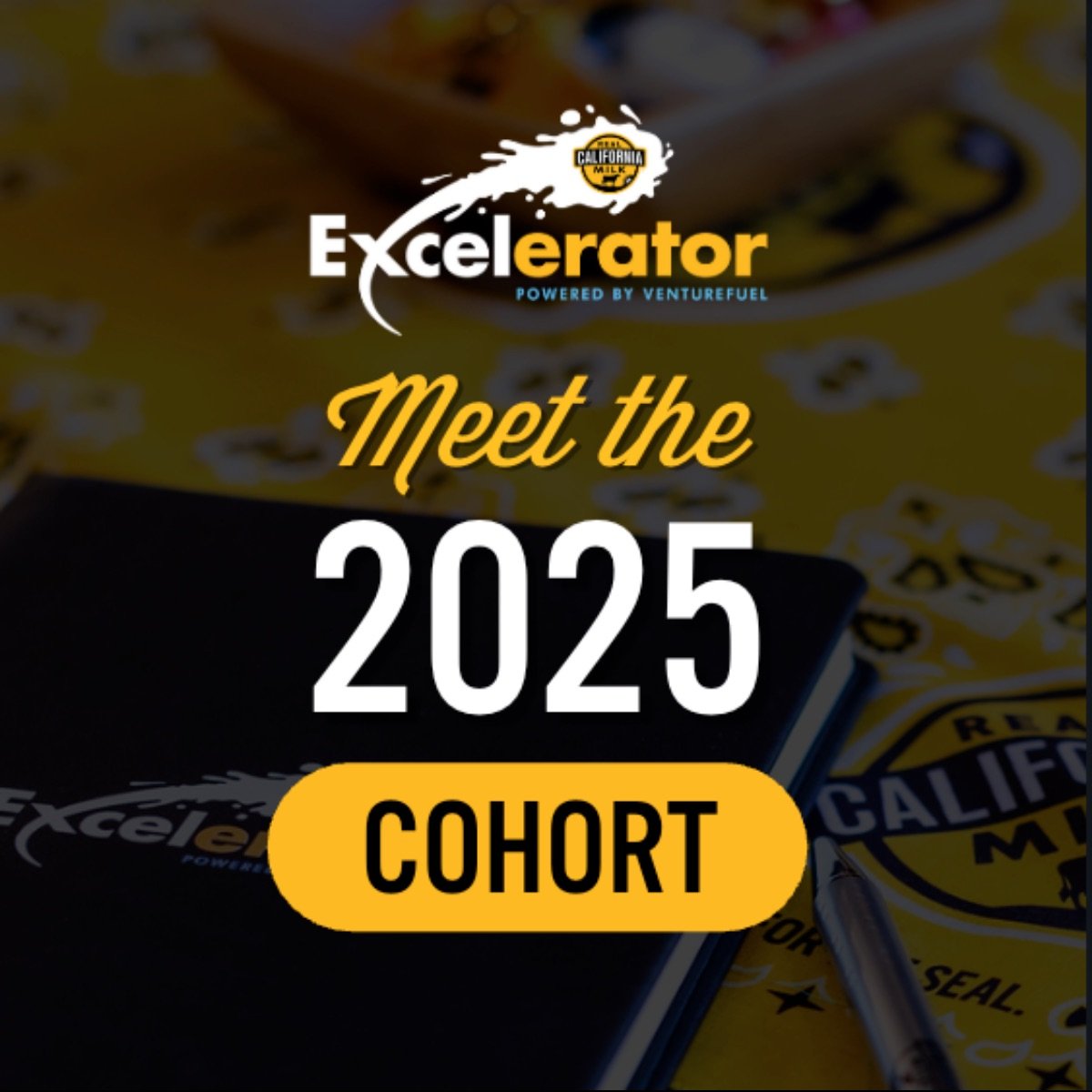 CMAB - Cohort 2025 - Excelerator and Incubator