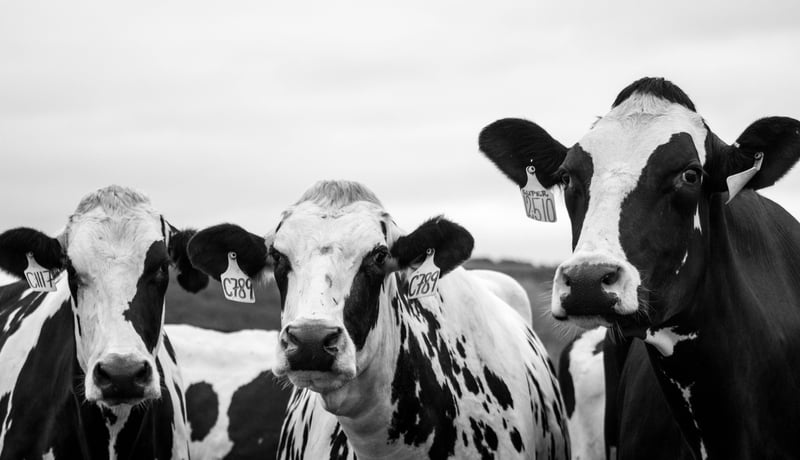 Agriculture